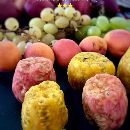 La Dimora Delle Naiadi Di ベッド・アンド・ブレックファスト